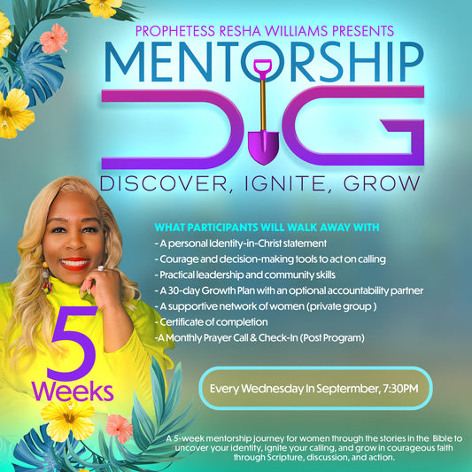 DIG Mentorship ( Discover, Ignite, Grow)
